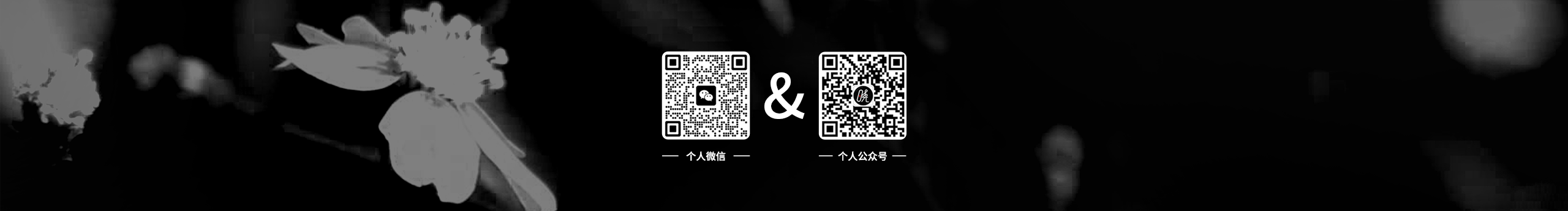 中晓夥GuyZ的个人主页（封面预览） - 主页封面设置 - 站酷设计师中晓夥GuyZ原创素材 - 站酷ZCOOL