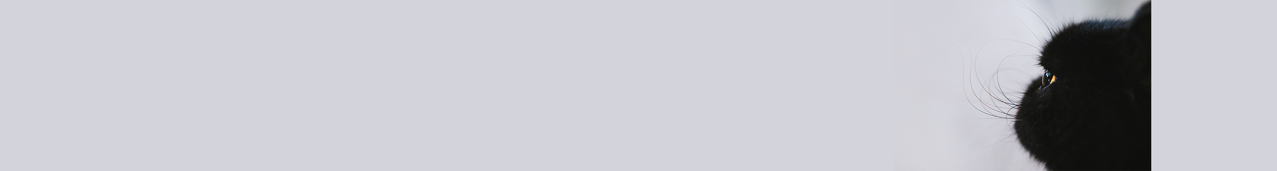 潔子吖的個(gè)人主頁（封面預(yù)覽） - 主頁封面設(shè)置 - 站酷設(shè)計(jì)師潔子吖原創(chuàng)素材 - 站酷ZCOOL