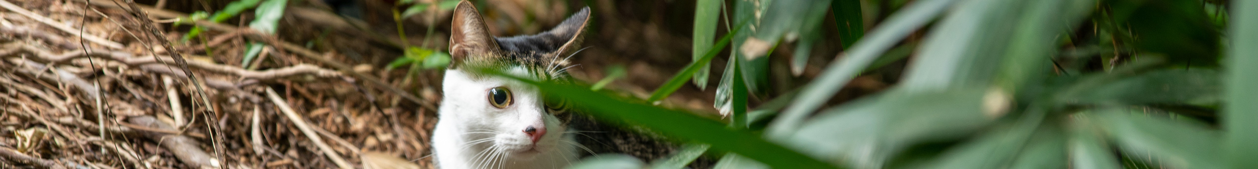 stephen2617的个人主页（封面预览） - 主页封面设置 - 站酷设计师stephen2617原创素材 - 站酷ZCOOL