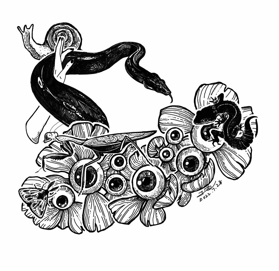 疯子龟的个人主页（封面预览） - 主页封面设置 - 站酷设计师疯子龟原创素材 - 站酷ZCOOL