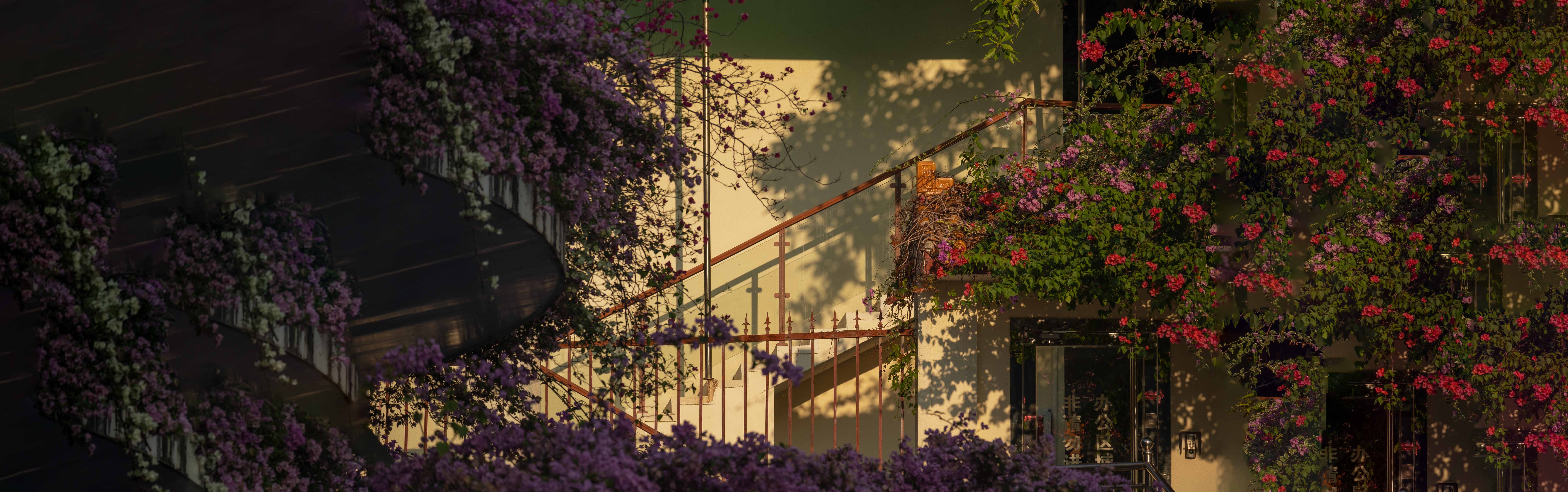 随馨随源的个人主页（封面预览） - 主页封面设置 - 站酷设计师随馨随源原创素材 - 站酷ZCOOL