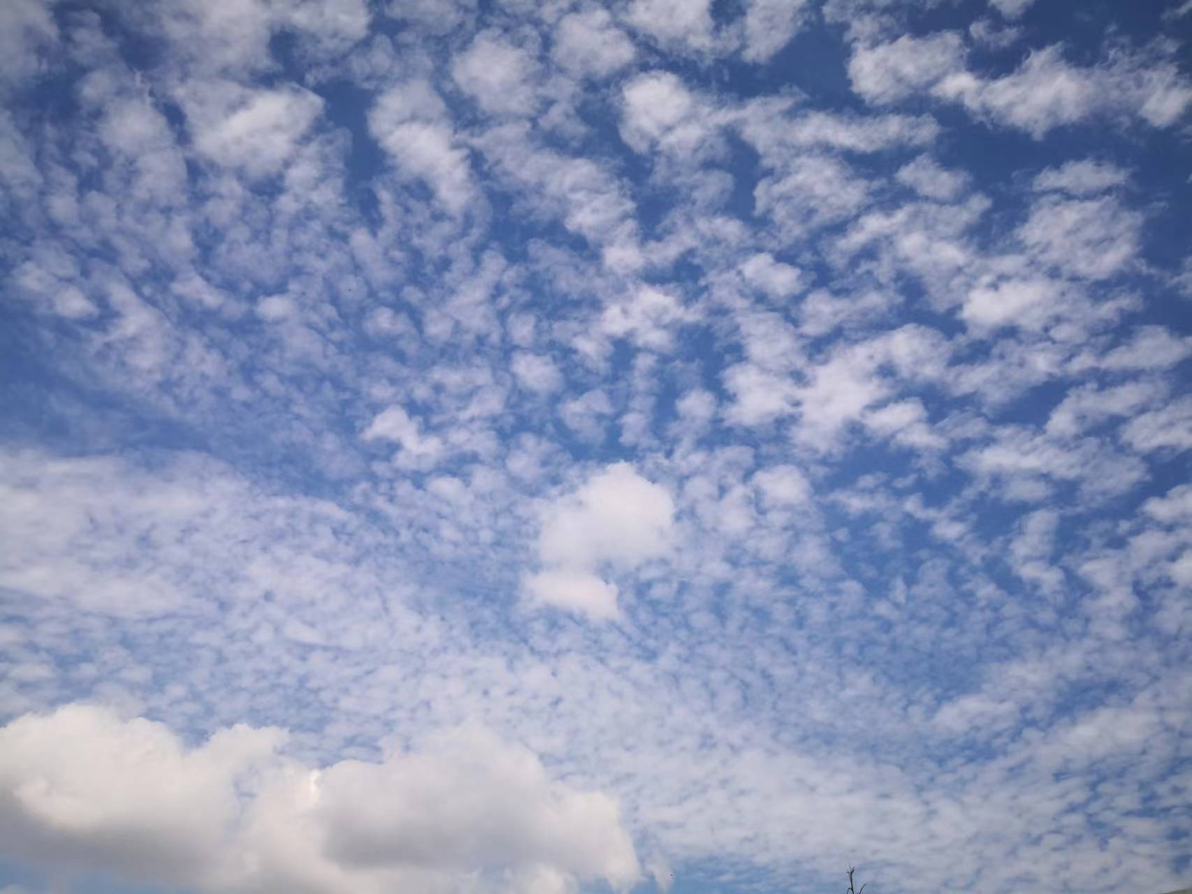 訥言訥言的個(gè)人主頁(yè)（封面預(yù)覽） - 主頁(yè)封面設(shè)置 - 站酷設(shè)計(jì)師訥言訥言原創(chuàng)素材 - 站酷ZCOOL