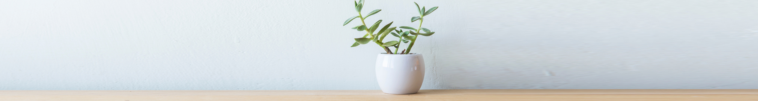 月影視覺的個人主頁（封面預覽） - 主頁封面設置 - 站酷設計師月影視覺原創(chuàng)素材 - 站酷ZCOOL