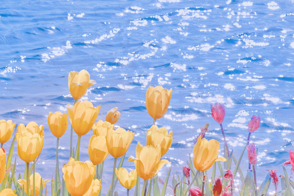 糖醋小排设计的个人主页（封面预览） - 主页封面设置 - 站酷设计师糖醋小排设计原创素材 - 站酷ZCOOL