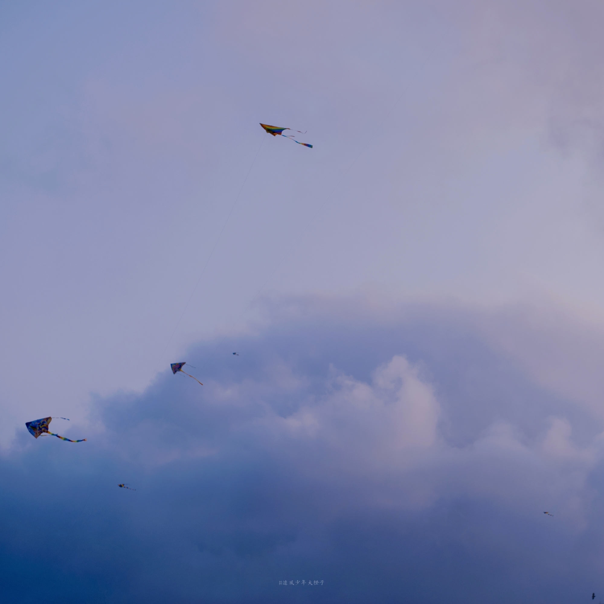 胖半儿的个人主页（封面预览） - 主页封面设置 - 站酷设计师胖半儿原创素材 - 站酷ZCOOL