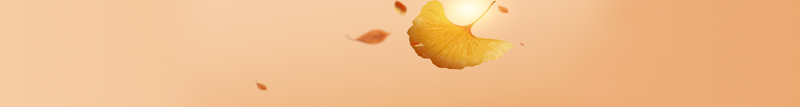 小小_人鱼的个人主页（封面预览） - 主页封面设置 - 站酷设计师小小_人鱼原创素材 - 站酷ZCOOL