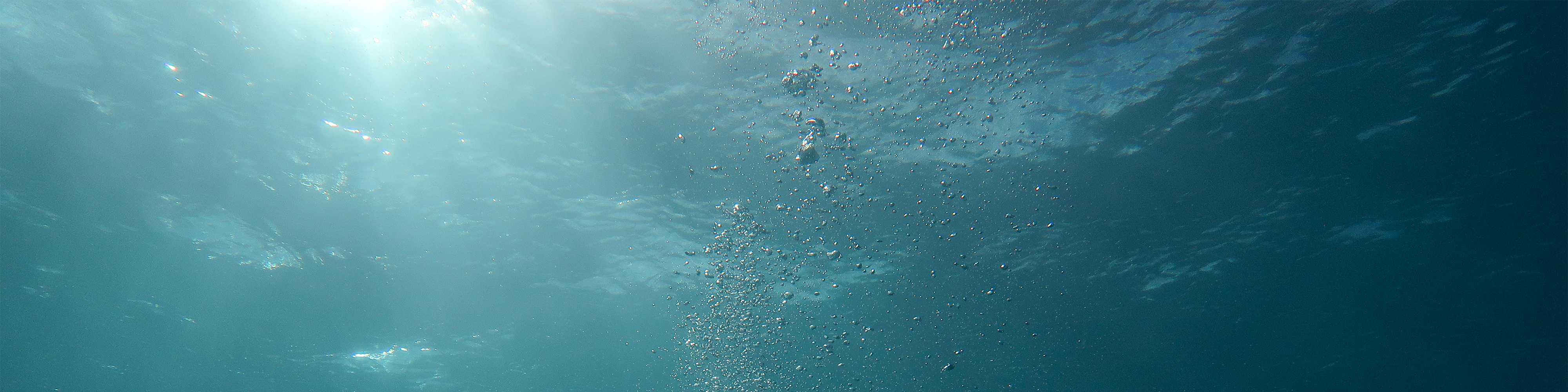 Bearears的個(gè)人主頁（封面預(yù)覽） - 主頁封面設(shè)置 - 站酷設(shè)計(jì)師Bearears原創(chuàng)素材 - 站酷ZCOOL