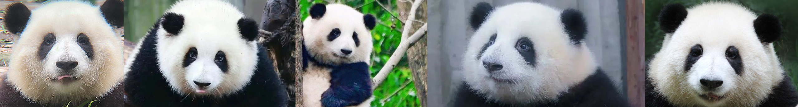 芍苠的個人主頁（封面預覽） - 主頁封面設置 - 站酷設計師芍苠原創(chuàng)素材 - 站酷ZCOOL