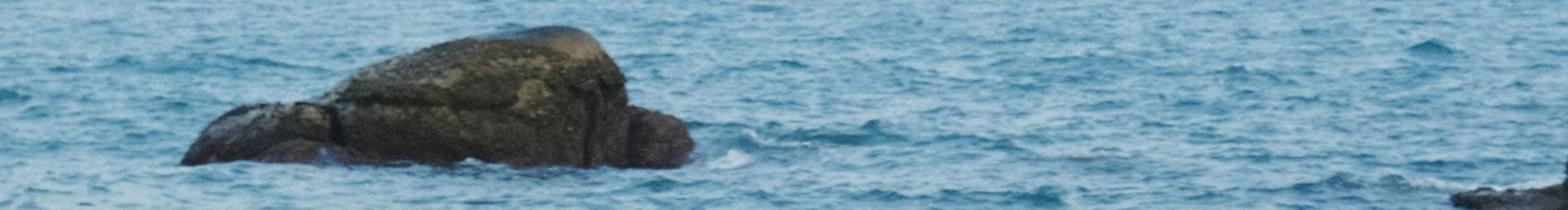 練習(xí)好步調(diào)的個人主頁（封面預(yù)覽） - 主頁封面設(shè)置 - 站酷設(shè)計師練習(xí)好步調(diào)原創(chuàng)素材 - 站酷ZCOOL