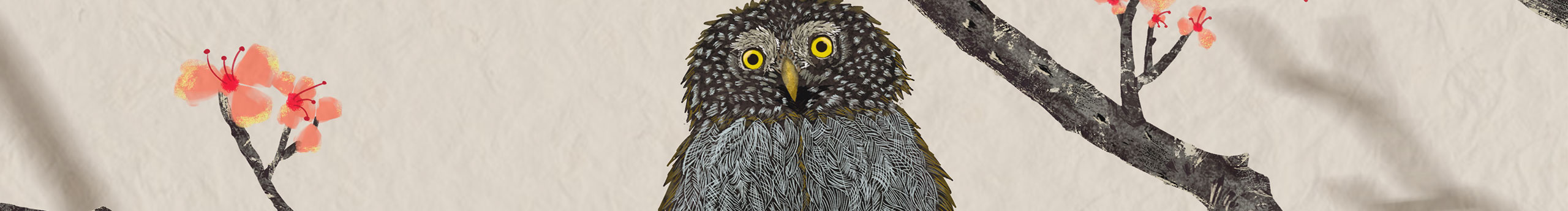 不用解释的个人主页（封面预览） - 主页封面设置 - 站酷设计师不用解释原创素材 - 站酷ZCOOL