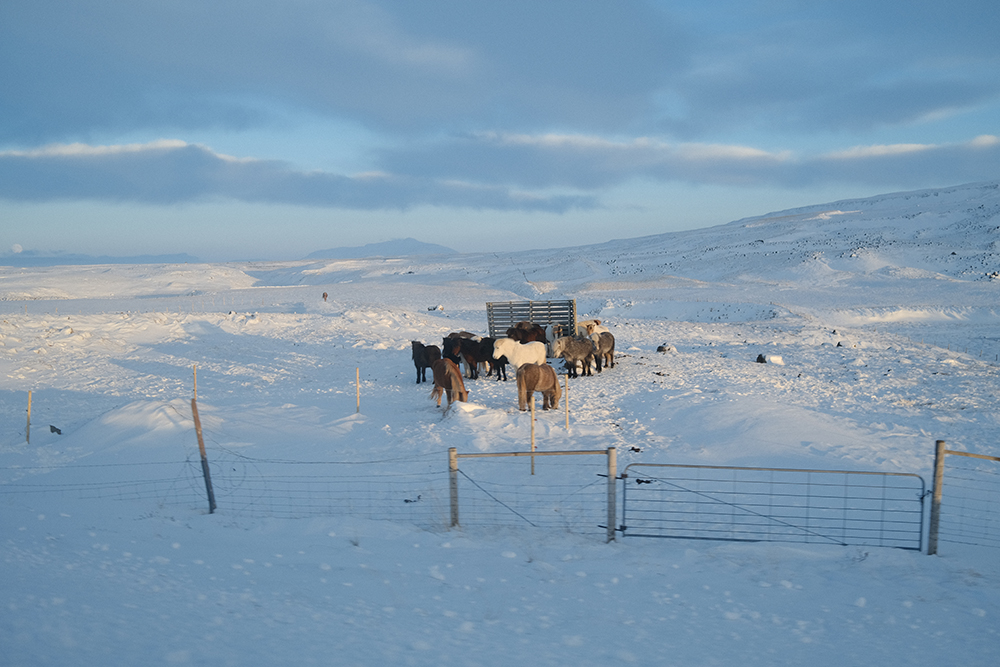 Jccccc程的个人主页（封面预览） - 主页封面设置 - 站酷设计师Jccccc程原创素材 - 站酷ZCOOL