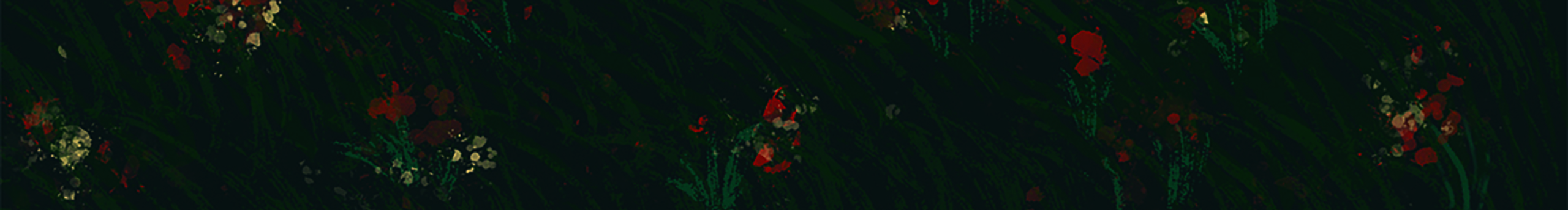 沉清Evechan的個人主頁（封面預(yù)覽） - 主頁封面設(shè)置 - 站酷設(shè)計師沉清Evechan原創(chuàng)素材 - 站酷ZCOOL