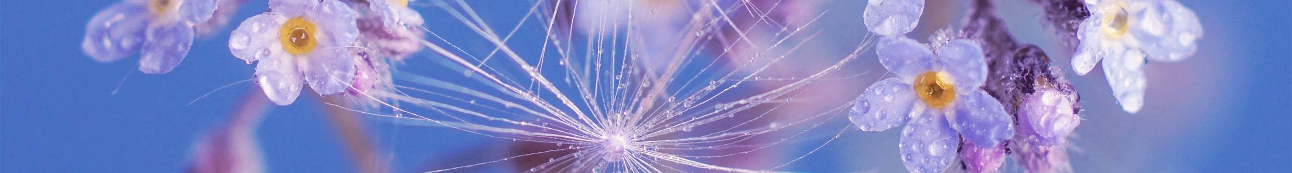 不爆炸的小丸子的個人主頁（封面預覽） - 主頁封面設置 - 站酷設計師不爆炸的小丸子原創(chuàng)素材 - 站酷ZCOOL