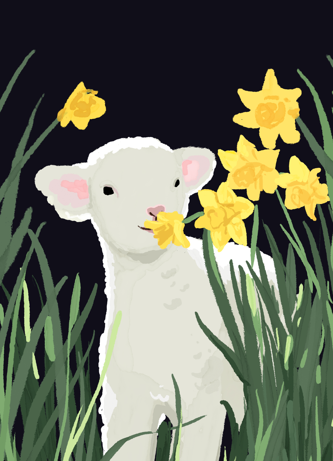 一枚洋柿子的个人主页（封面预览） - 主页封面设置 - 站酷设计师一枚洋柿子原创素材 - 站酷ZCOOL