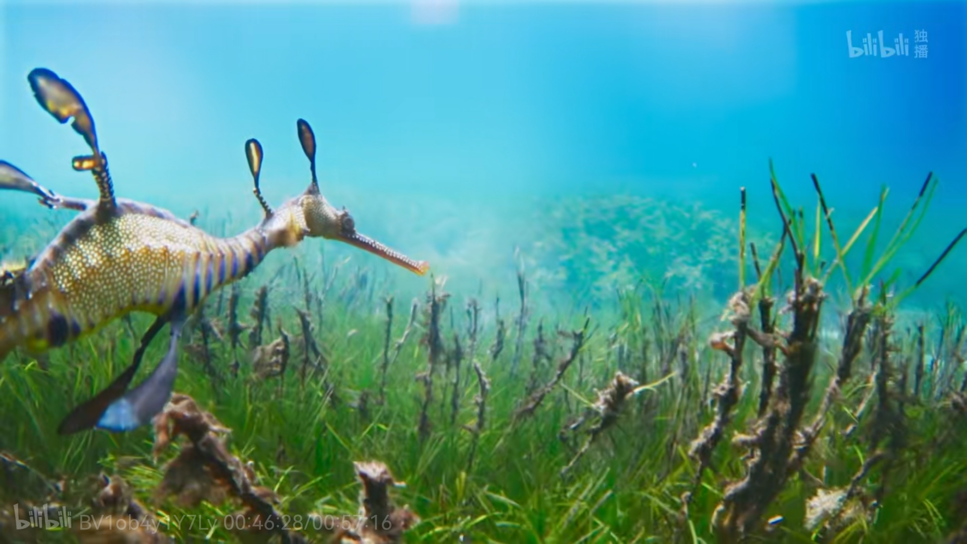 無糖老少女的個(gè)人主頁（封面預(yù)覽） - 主頁封面設(shè)置 - 站酷設(shè)計(jì)師無糖老少女原創(chuàng)素材 - 站酷ZCOOL