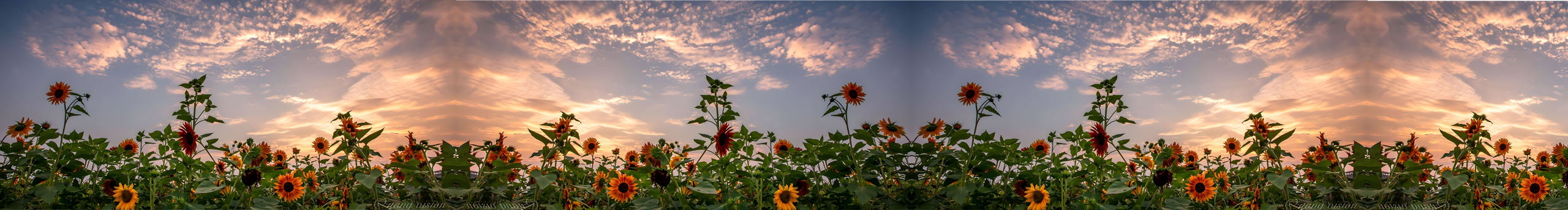 布兜鴨的個(gè)人主頁(yè)（封面預(yù)覽） - 主頁(yè)封面設(shè)置 - 站酷設(shè)計(jì)師布兜鴨原創(chuàng)素材 - 站酷ZCOOL
