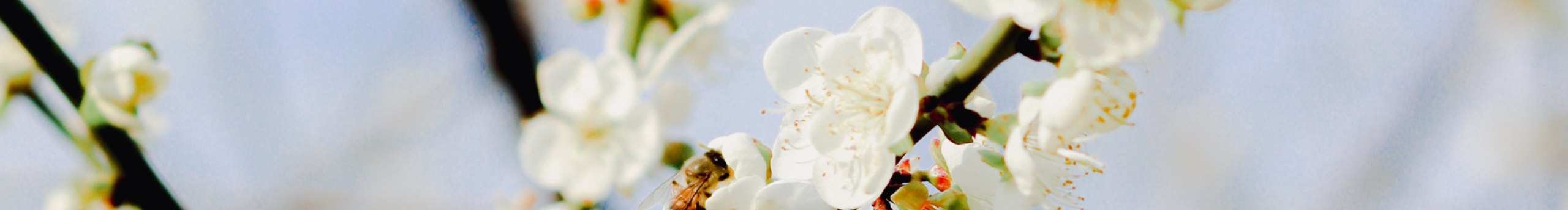素和慕灼的个人主页（封面预览） - 主页封面设置 - 站酷设计师素和慕灼原创素材 - 站酷ZCOOL