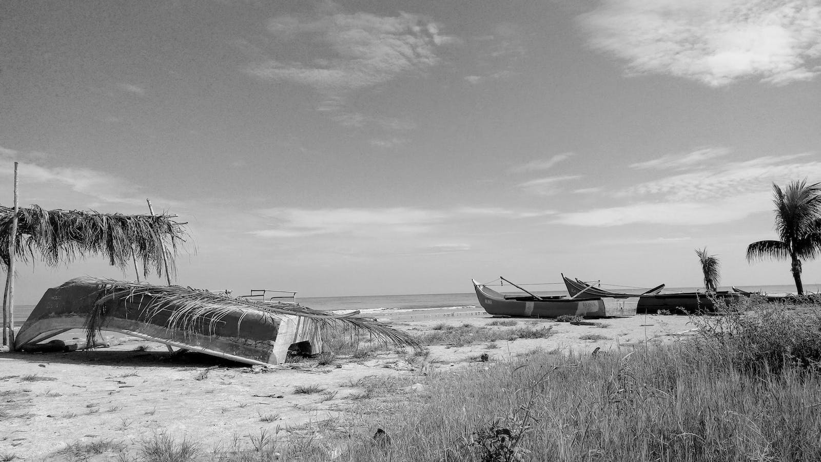 富Fyyyyy的个人主页（封面预览） - 主页封面设置 - 站酷设计师富Fyyyyy原创素材 - 站酷ZCOOL