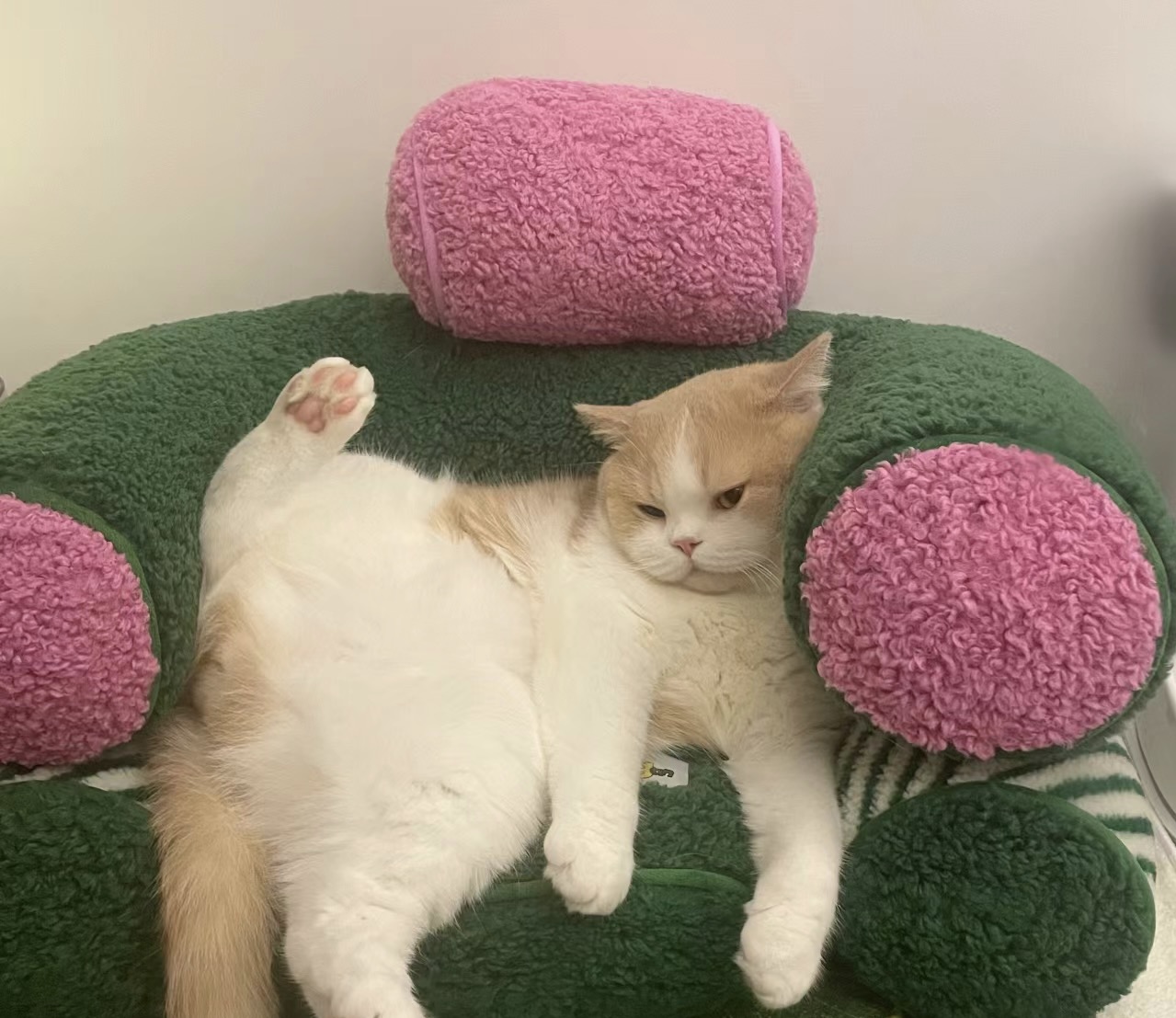 李不悔的个人主页（封面预览） - 主页封面设置 - 站酷设计师李不悔原创素材 - 站酷ZCOOL