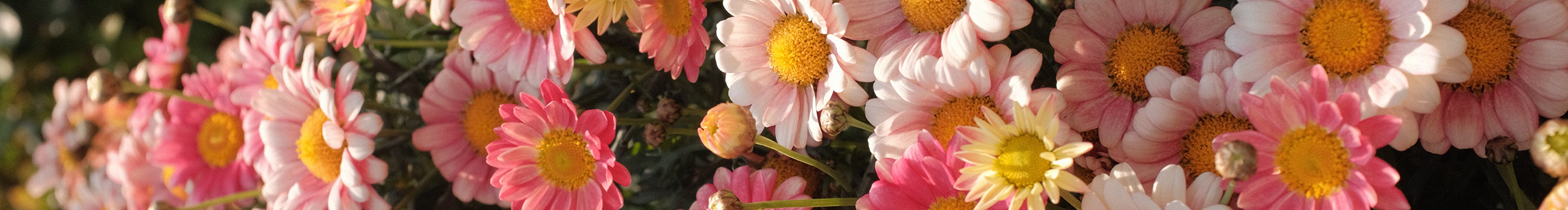 二七先生的個人主頁（封面預(yù)覽） - 主頁封面設(shè)置 - 站酷設(shè)計師二七先生原創(chuàng)素材 - 站酷ZCOOL