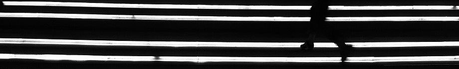 Caomei_415的个人主页（封面预览） - 主页封面设置 - 站酷设计师Caomei_415原创素材 - 站酷ZCOOL