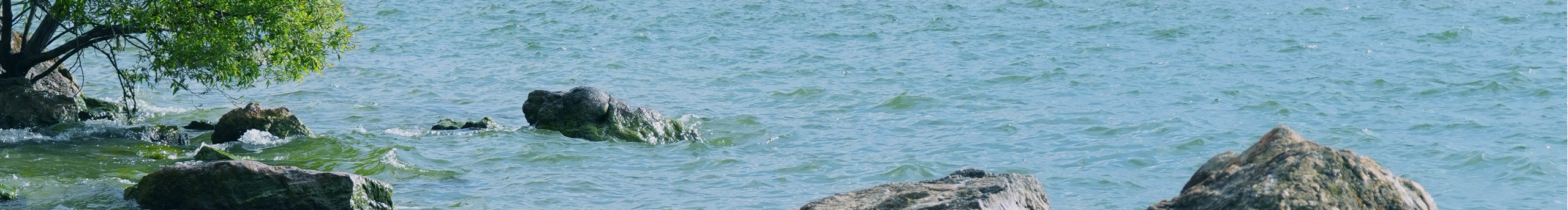 神秘飛俠的個人主頁（封面預(yù)覽） - 主頁封面設(shè)置 - 站酷設(shè)計師神秘飛俠原創(chuàng)素材 - 站酷ZCOOL