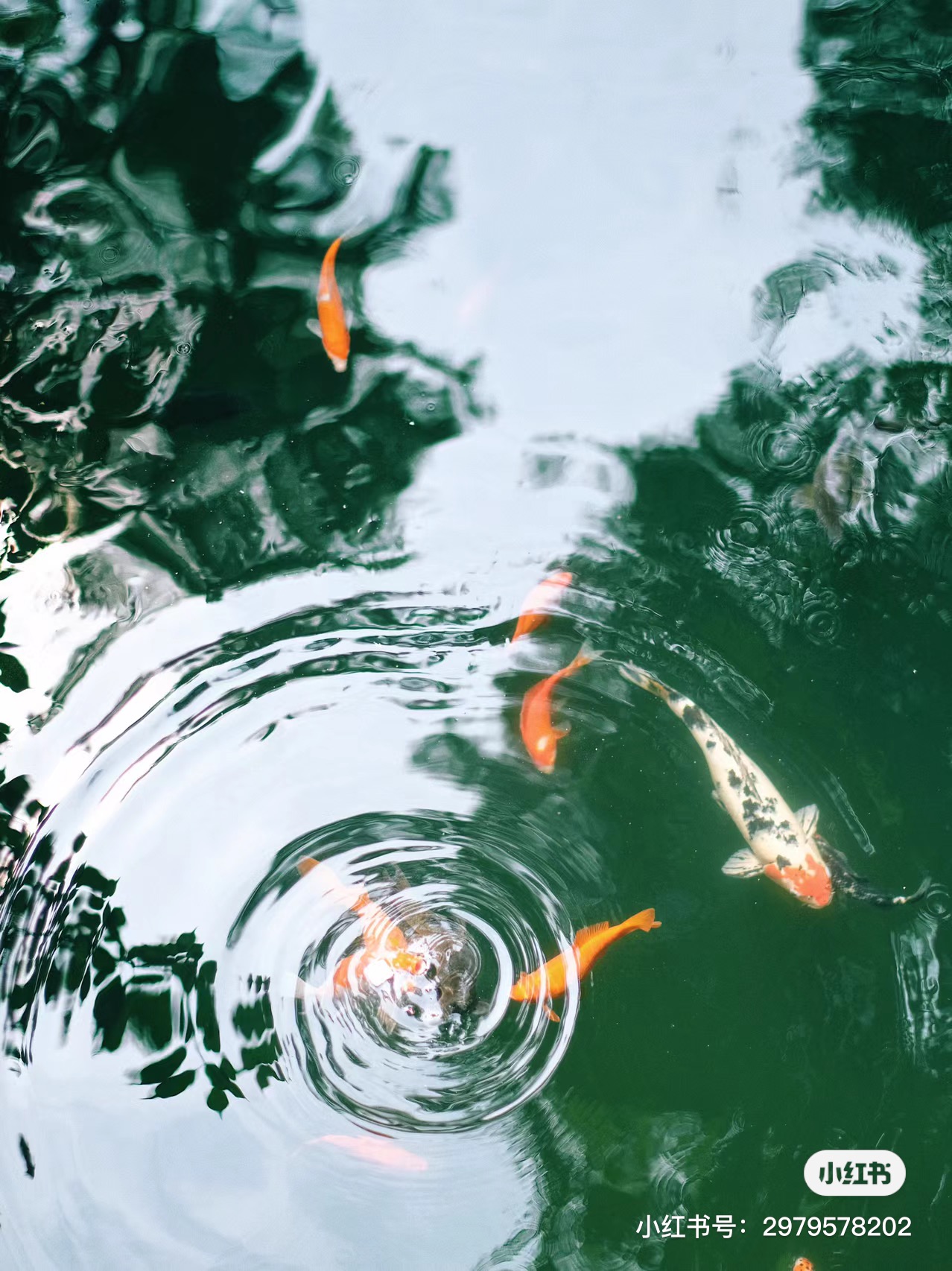 兼城的个人主页（封面预览） - 主页封面设置 - 站酷设计师兼城原创素材 - 站酷ZCOOL