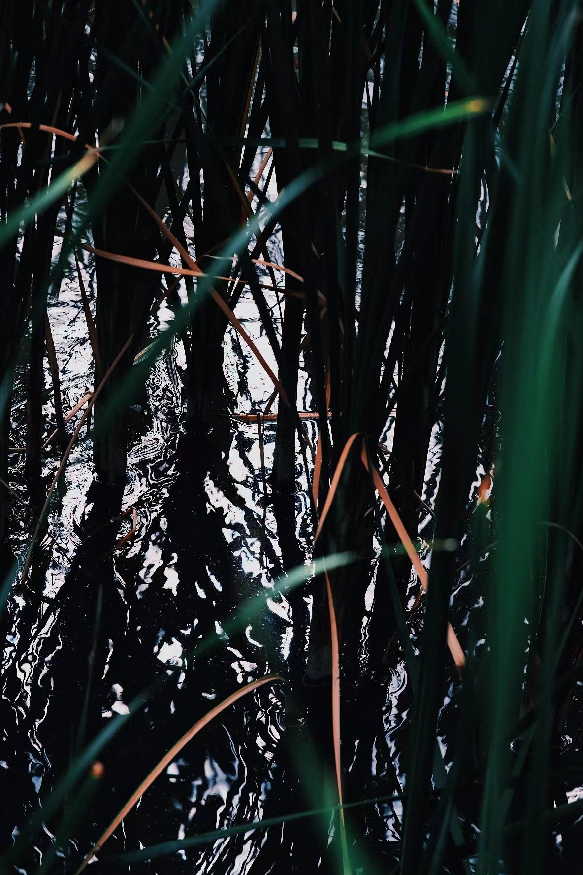马良神笔借我用用的个人主页（封面预览） - 主页封面设置 - 站酷设计师马良神笔借我用用原创素材 - 站酷ZCOOL