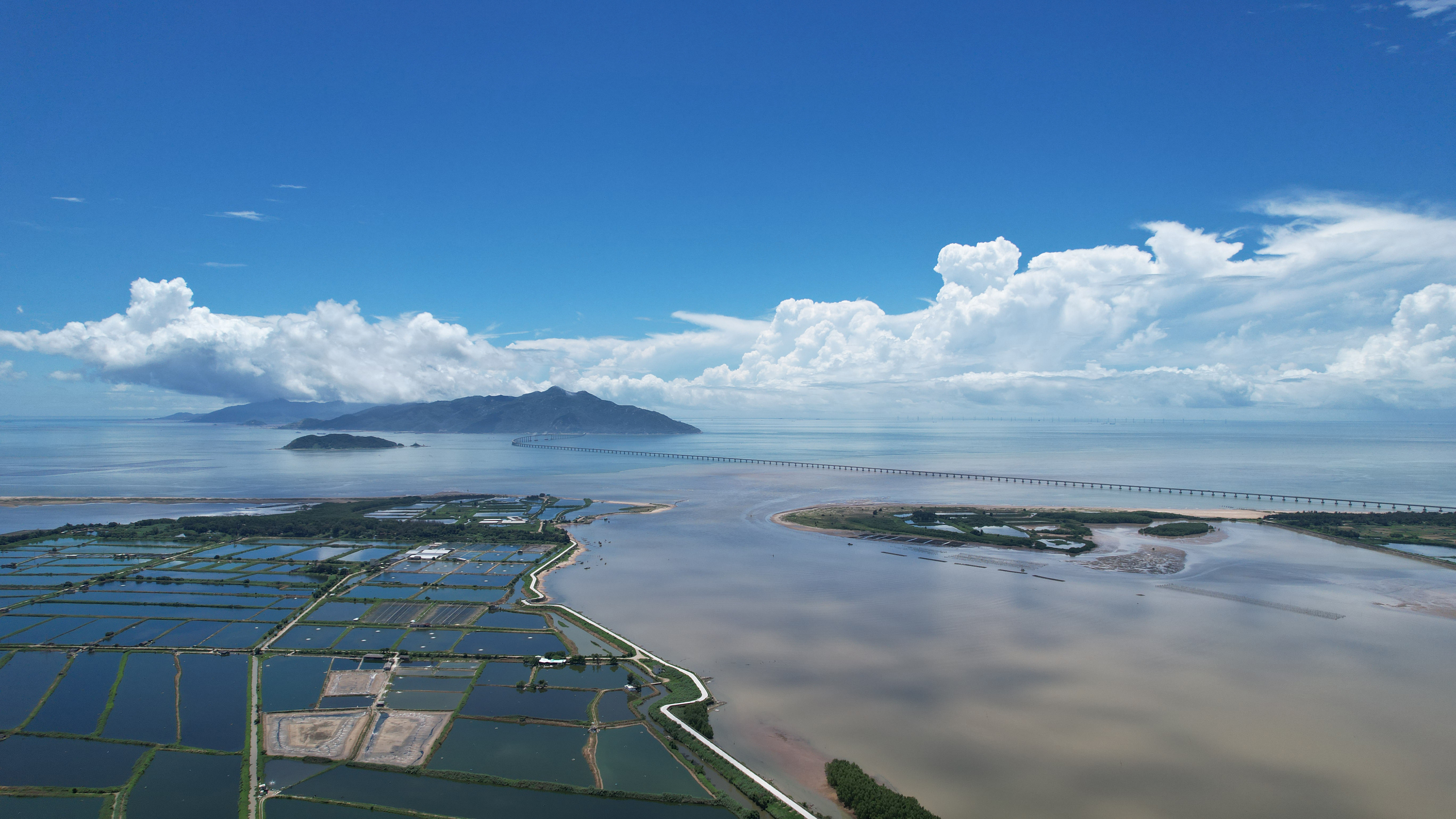 逐光大大树的个人主页（封面预览） - 主页封面设置 - 站酷设计师逐光大大树原创素材 - 站酷ZCOOL