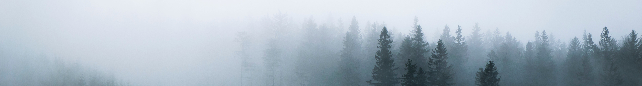 雨林_Render的個(gè)人主頁（封面預(yù)覽） - 主頁封面設(shè)置 - 站酷設(shè)計(jì)師雨林_Render原創(chuàng)素材 - 站酷ZCOOL