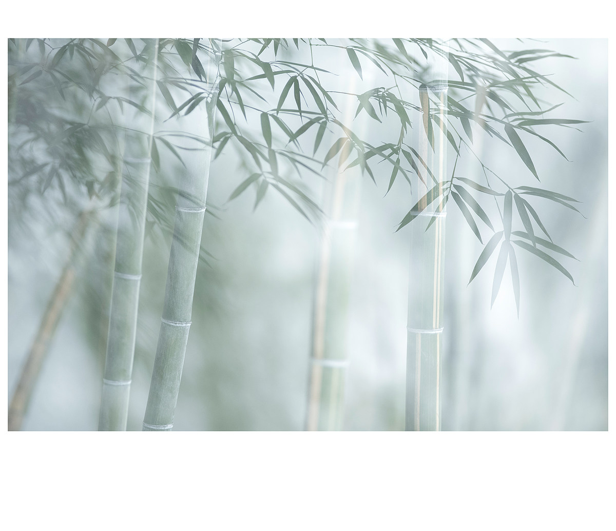 福建天美包裝的個人主頁（封面預覽） - 主頁封面設置 - 站酷設計師福建天美包裝原創(chuàng)素材 - 站酷ZCOOL