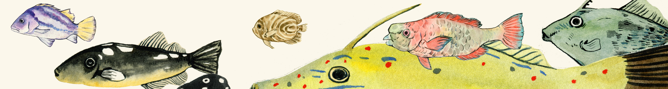 明月ming的個(gè)人主頁(yè)（封面預(yù)覽） - 主頁(yè)封面設(shè)置 - 站酷設(shè)計(jì)師明月ming原創(chuàng)素材 - 站酷ZCOOL