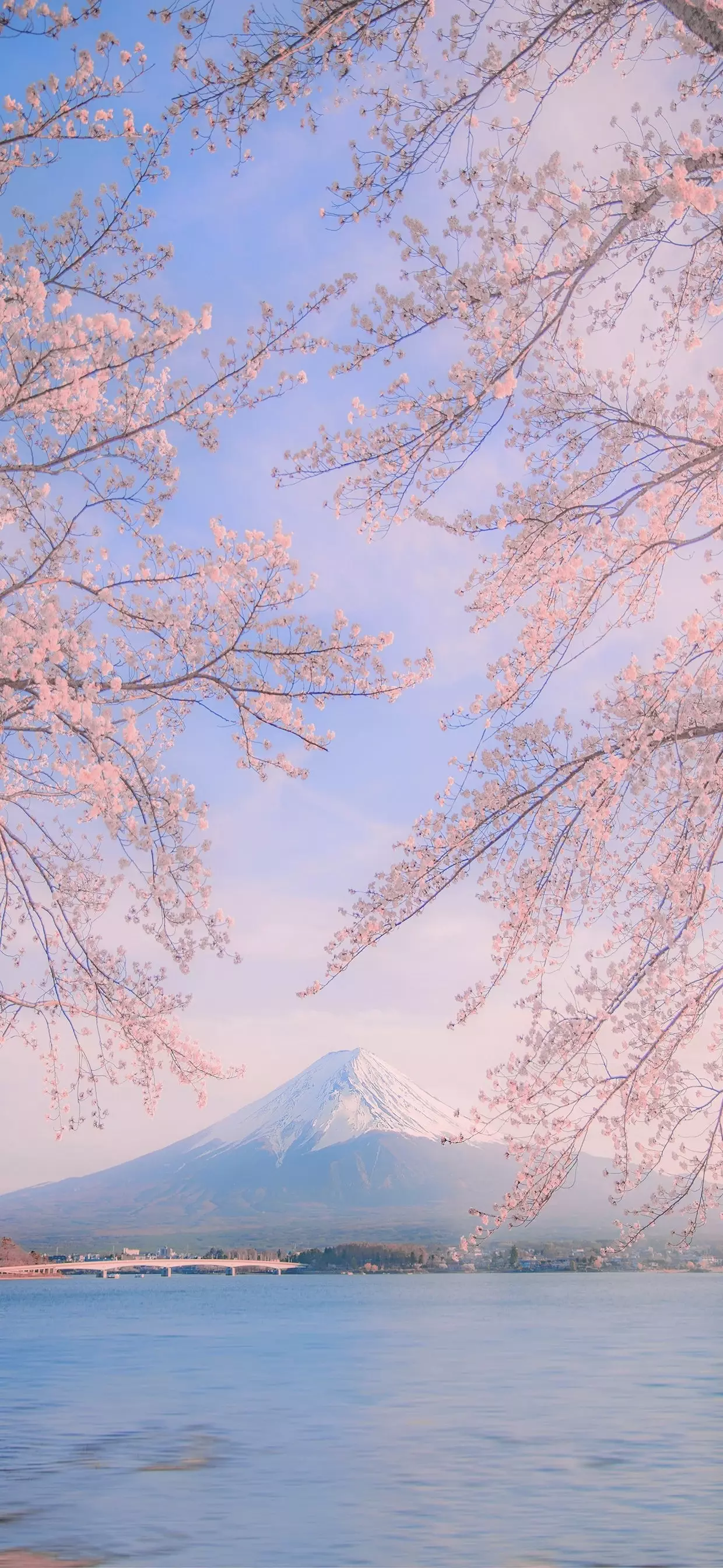 小雨星點(diǎn)點(diǎn)的個(gè)人主頁（封面預(yù)覽） - 主頁封面設(shè)置 - 站酷設(shè)計(jì)師小雨星點(diǎn)點(diǎn)原創(chuàng)素材 - 站酷ZCOOL