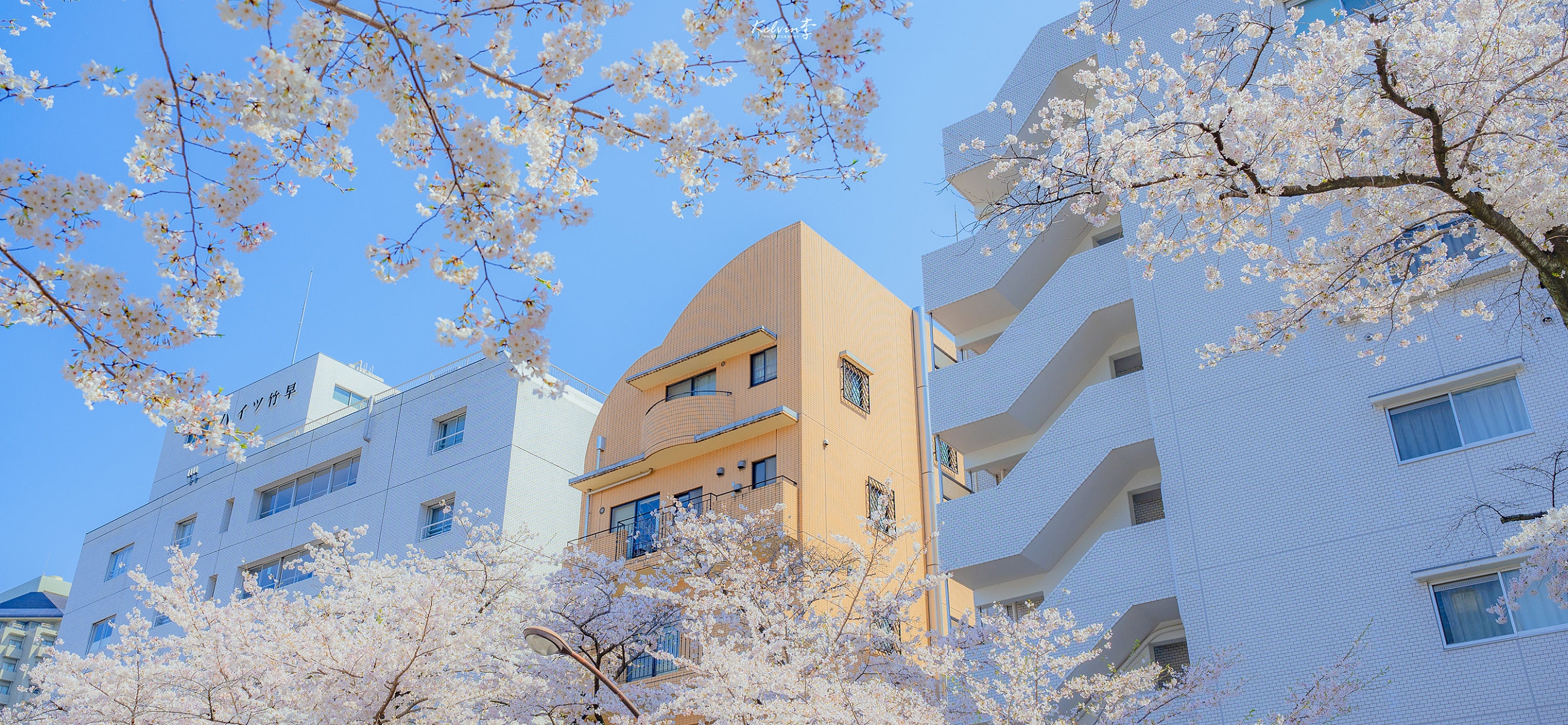 大爺您好的個(gè)人主頁（封面預(yù)覽） - 主頁封面設(shè)置 - 站酷設(shè)計(jì)師大爺您好原創(chuàng)素材 - 站酷ZCOOL