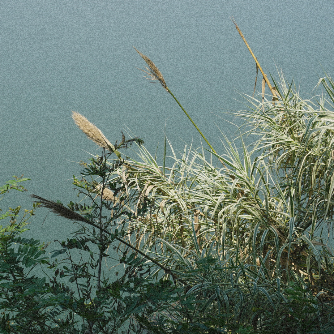 空空脑袋的个人主页（封面预览） - 主页封面设置 - 站酷设计师空空脑袋原创素材 - 站酷ZCOOL