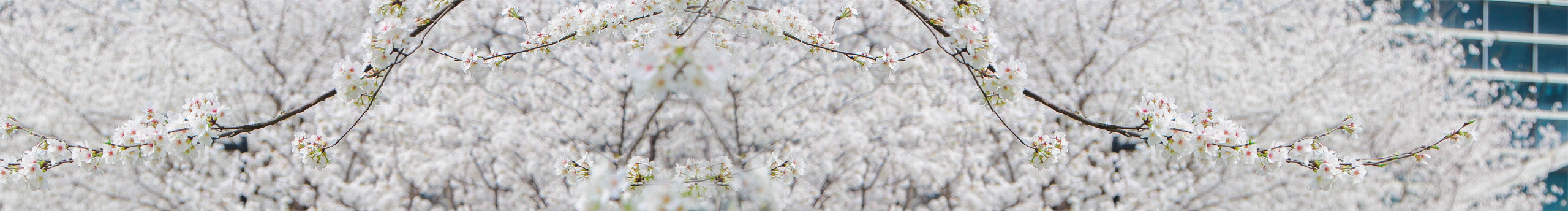 李脫脫的個人主頁（封面預(yù)覽） - 主頁封面設(shè)置 - 站酷設(shè)計師李脫脫原創(chuàng)素材 - 站酷ZCOOL