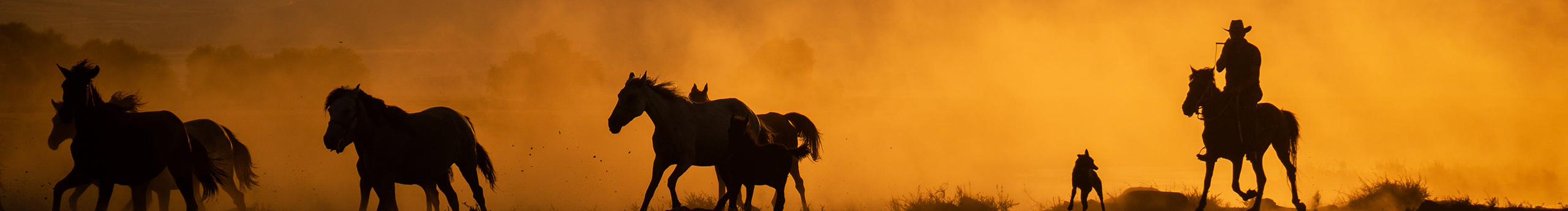 可以去你家做客吗的个人主页（封面预览） - 主页封面设置 - 站酷设计师可以去你家做客吗原创素材 - 站酷ZCOOL