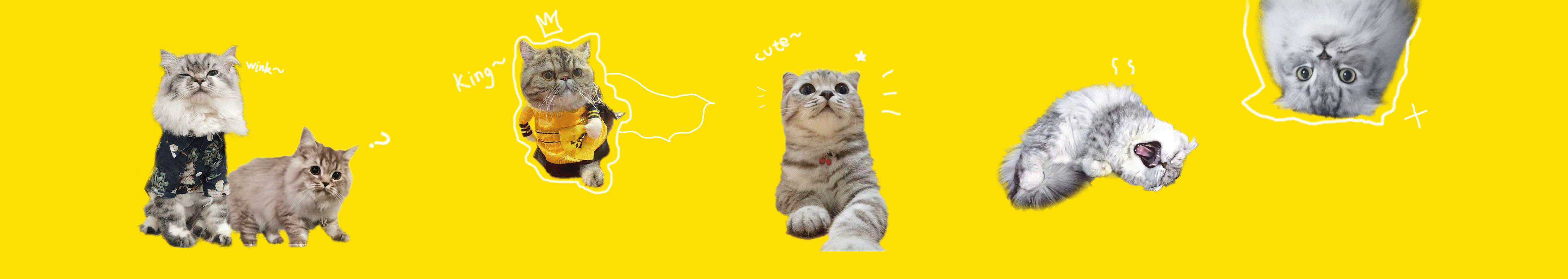 嶽臨Alin的个人主页（封面预览） - 主页封面设置 - 站酷设计师嶽臨Alin原创素材 - 站酷ZCOOL