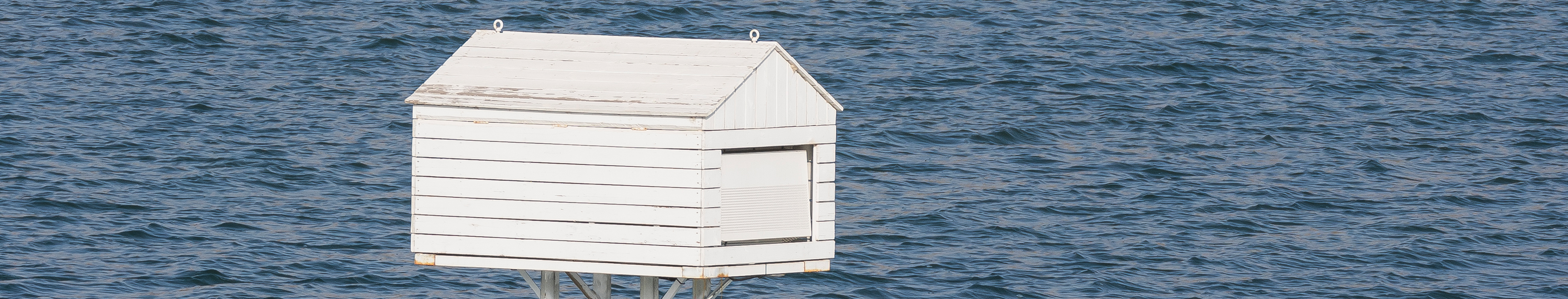 lisa_zzy的個人主頁（封面預覽） - 主頁封面設置 - 站酷設計師lisa_zzy原創(chuàng)素材 - 站酷ZCOOL