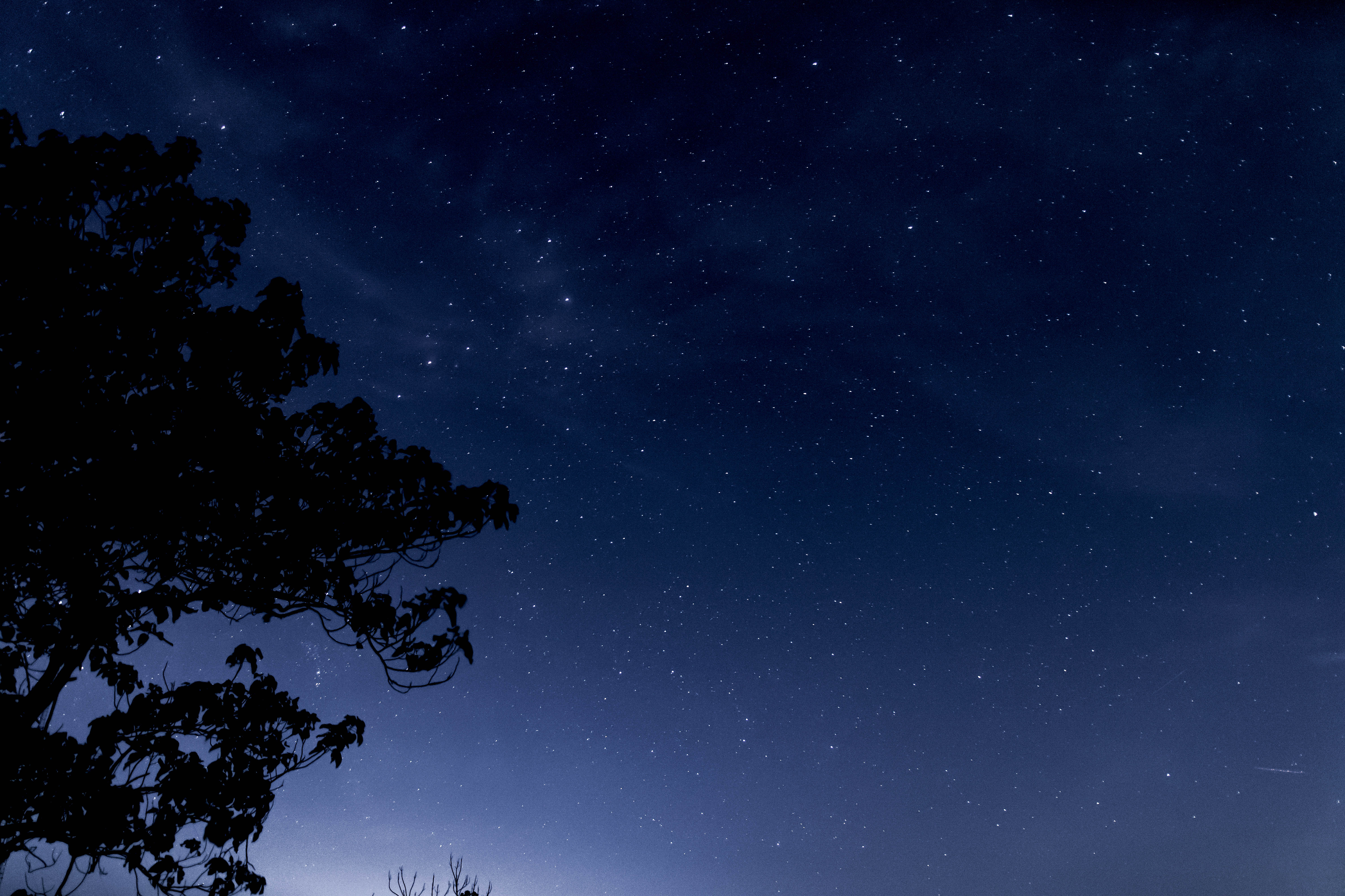 觅世捕快的个人主页（封面预览） - 主页封面设置 - 站酷设计师觅世捕快原创素材 - 站酷ZCOOL