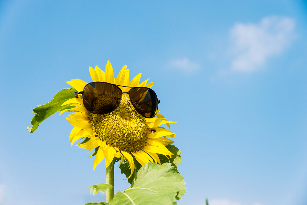笑笑的小世界的個人主頁（封面預(yù)覽） - 主頁封面設(shè)置 - 站酷設(shè)計師笑笑的小世界原創(chuàng)素材 - 站酷ZCOOL