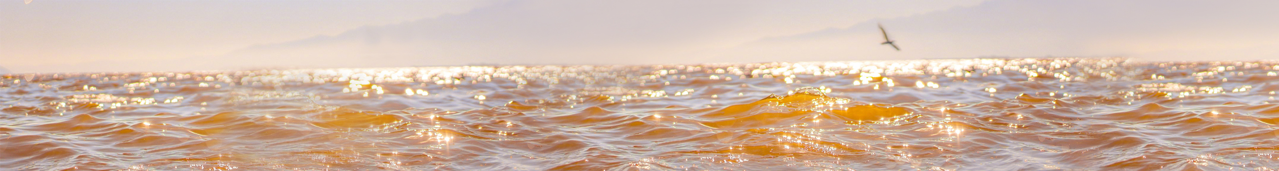 安洛梔的個人主頁（封面預(yù)覽） - 主頁封面設(shè)置 - 站酷設(shè)計師安洛梔原創(chuàng)素材 - 站酷ZCOOL