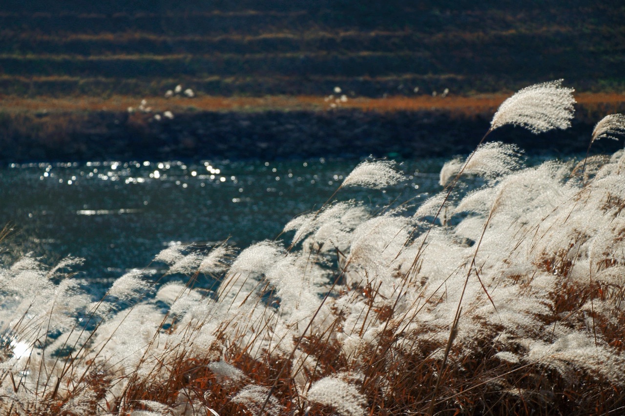 遮雨眠的个人主页（封面预览） - 主页封面设置 - 站酷设计师遮雨眠原创素材 - 站酷ZCOOL