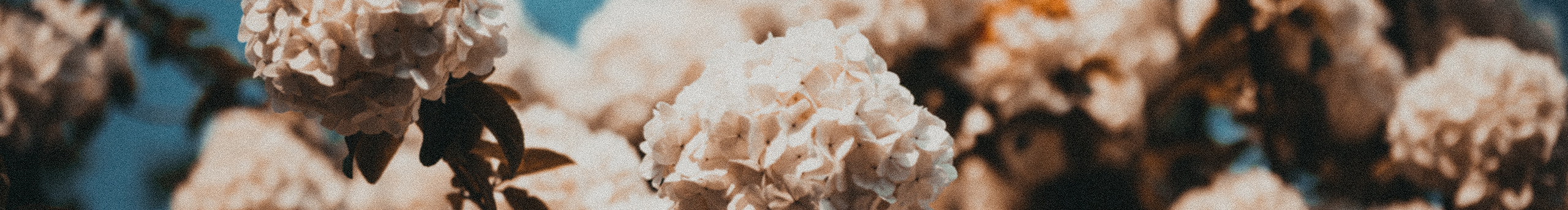 Carry寒的個人主頁（封面預(yù)覽） - 主頁封面設(shè)置 - 站酷設(shè)計師Carry寒原創(chuàng)素材 - 站酷ZCOOL