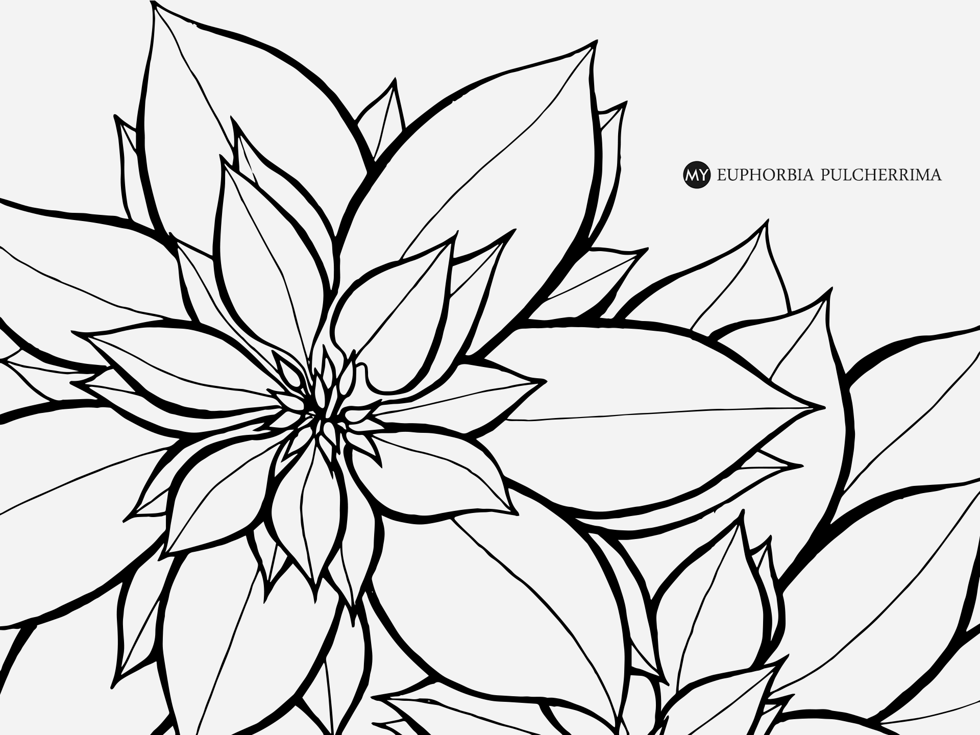 HAITANGGUO的個(gè)人主頁(yè)（封面預(yù)覽） - 主頁(yè)封面設(shè)置 - 站酷設(shè)計(jì)師HAITANGGUO原創(chuàng)素材 - 站酷ZCOOL