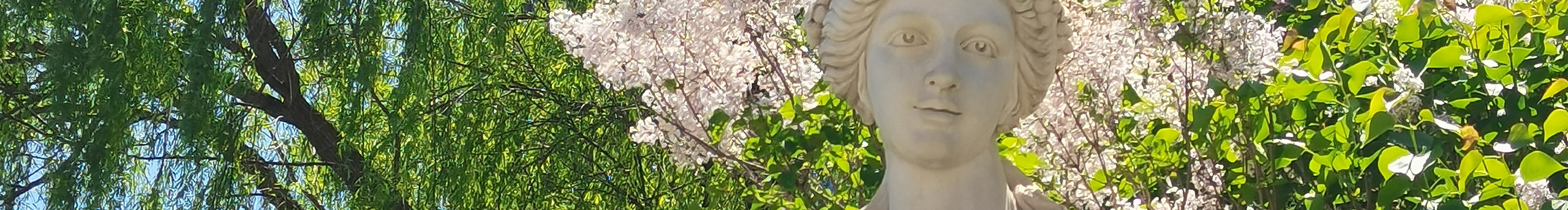 殼里里的個人主頁（封面預(yù)覽） - 主頁封面設(shè)置 - 站酷設(shè)計師殼里里原創(chuàng)素材 - 站酷ZCOOL