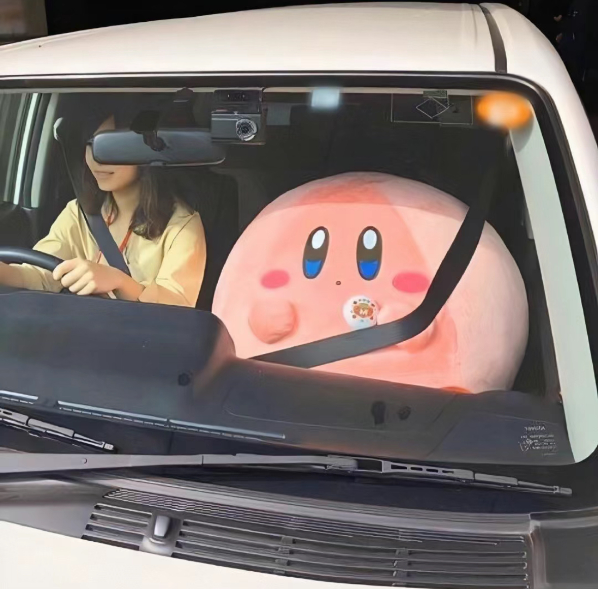小鱿ouo的个人主页（封面预览） - 主页封面设置 - 站酷设计师小鱿ouo原创素材 - 站酷ZCOOL
