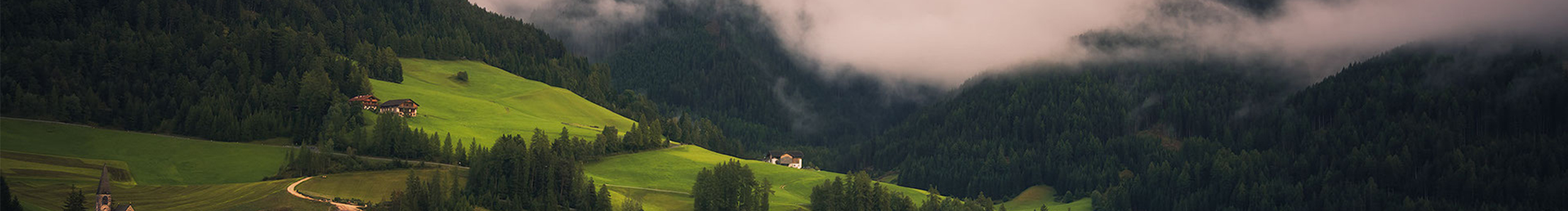 橙一卬的個(gè)人主頁（封面預(yù)覽） - 主頁封面設(shè)置 - 站酷設(shè)計(jì)師橙一卬原創(chuàng)素材 - 站酷ZCOOL