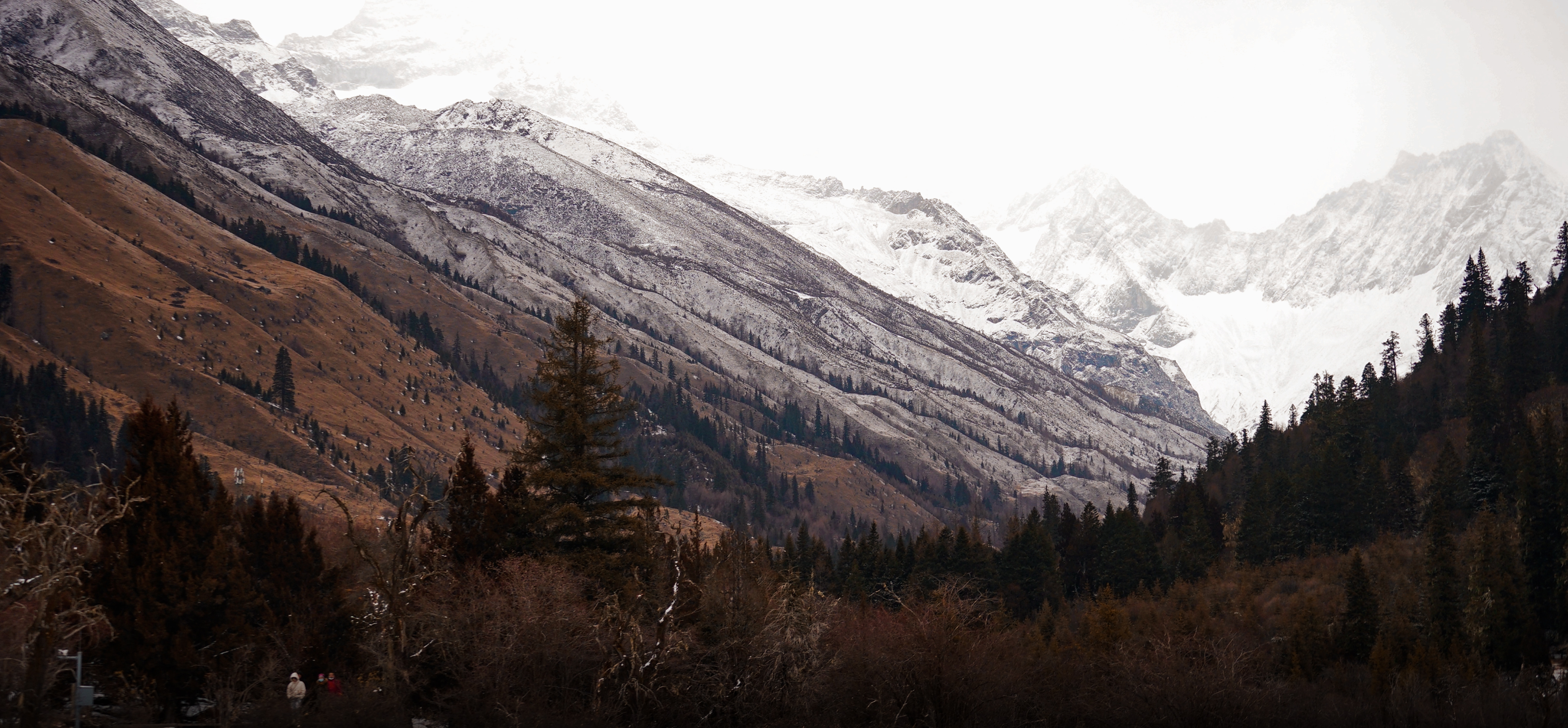 XdeppX的個人主頁（封面預(yù)覽） - 主頁封面設(shè)置 - 站酷設(shè)計師XdeppX原創(chuàng)素材 - 站酷ZCOOL