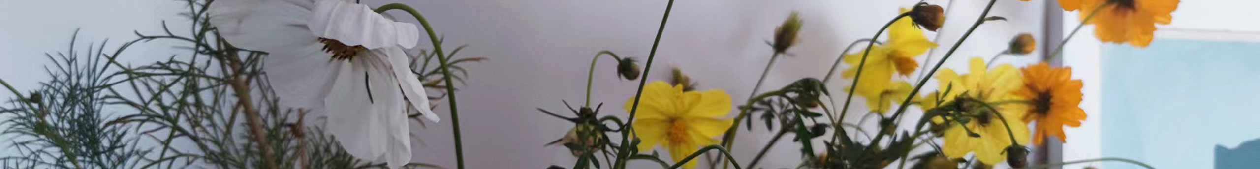 閑時(shí)明葉的個(gè)人主頁（封面預(yù)覽） - 主頁封面設(shè)置 - 站酷設(shè)計(jì)師閑時(shí)明葉原創(chuàng)素材 - 站酷ZCOOL